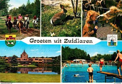 Zuidlaren Reiten Hase Pferd Freibad Hotel See