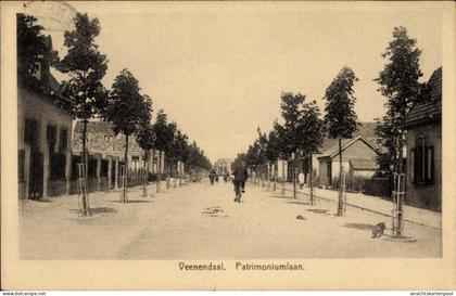 CPA Veenendaal Utrecht Nederland, Patrimoniumlaan