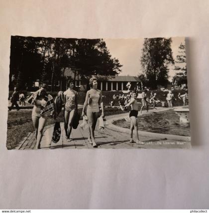 Weert // Camping De Ijzeren Man 1964