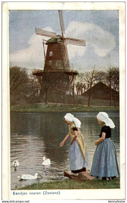 Zeeland - Eendjes voeren