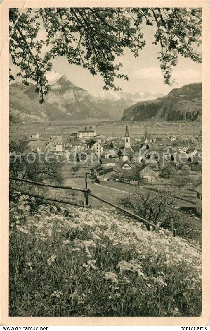 Niederurnen Panorama