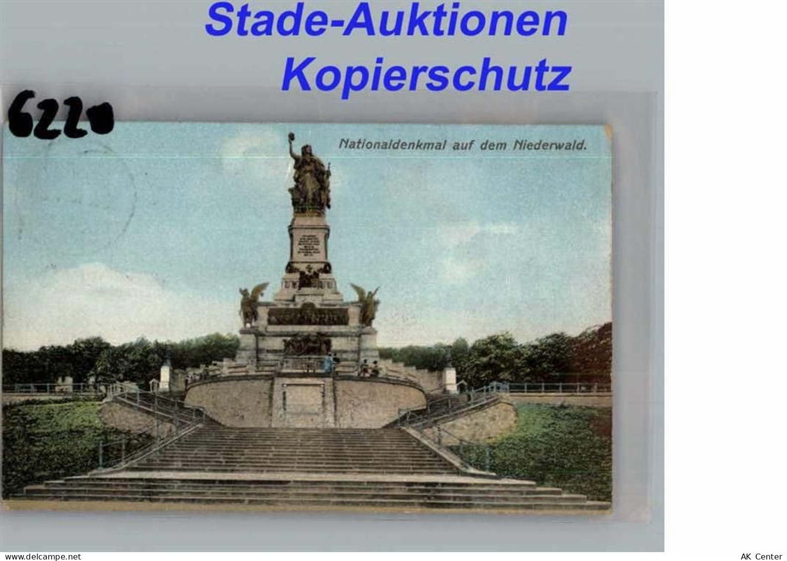 Niederwald - 50272554