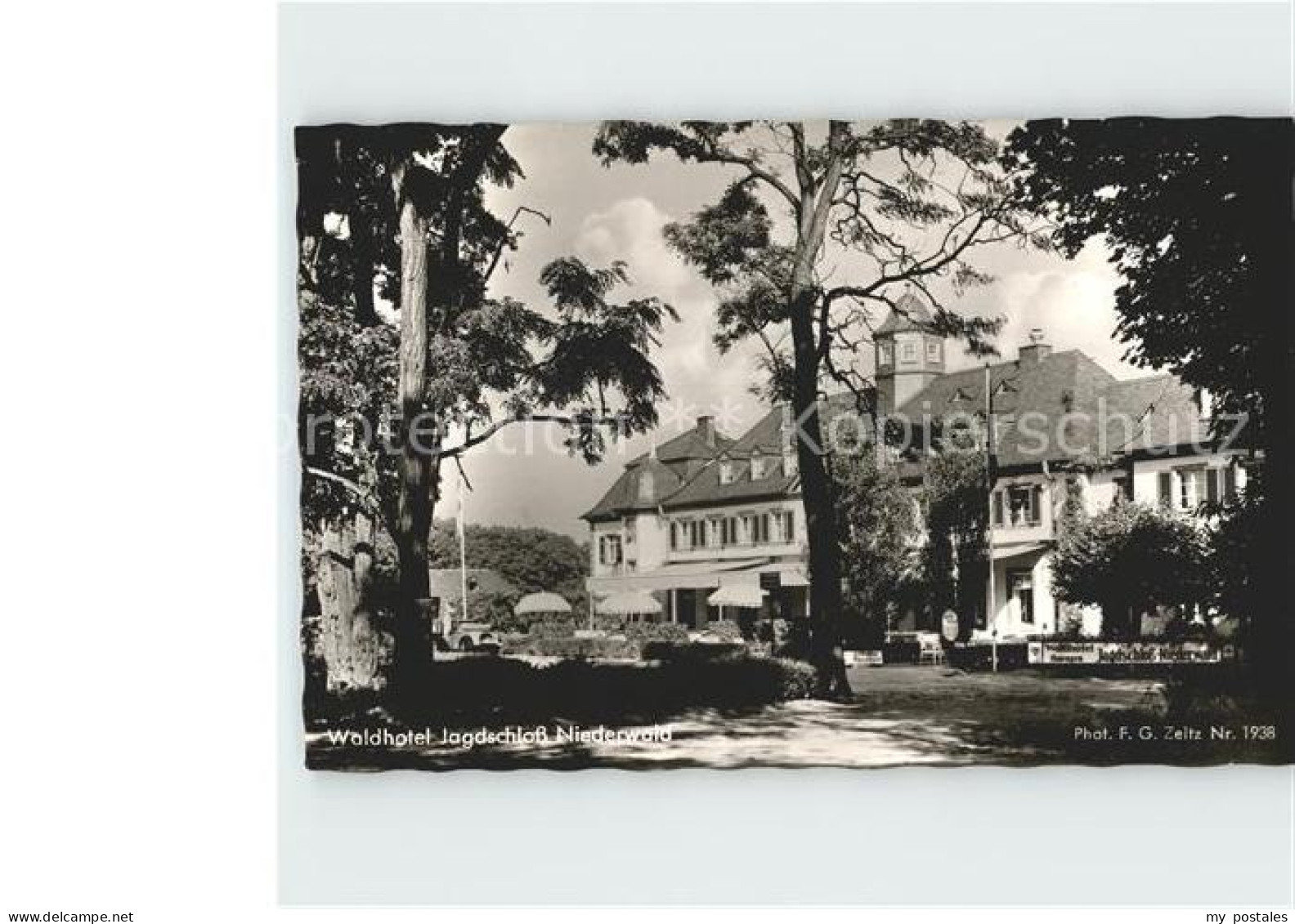 Niederwald Hessen Waldhotel Jagdschloss Niederwald