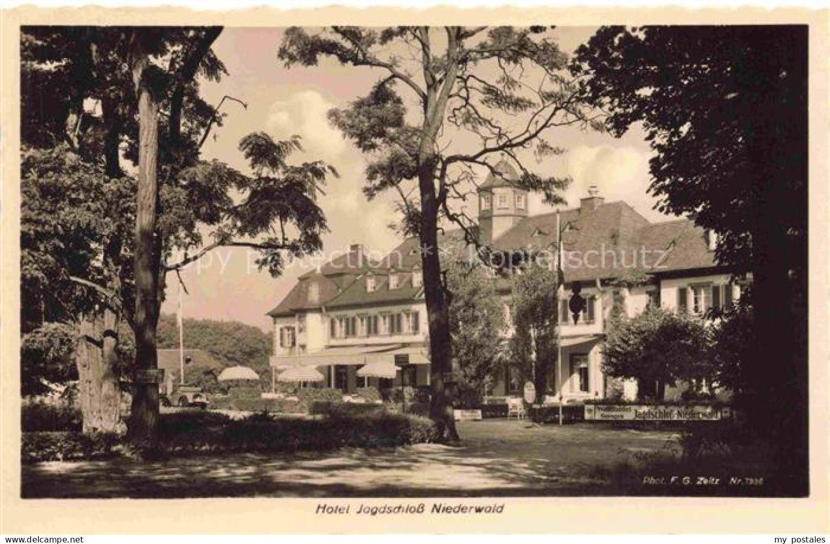 Niederwald Ruedesheim Hessen Waldhotel Jagdschloss Niederwald