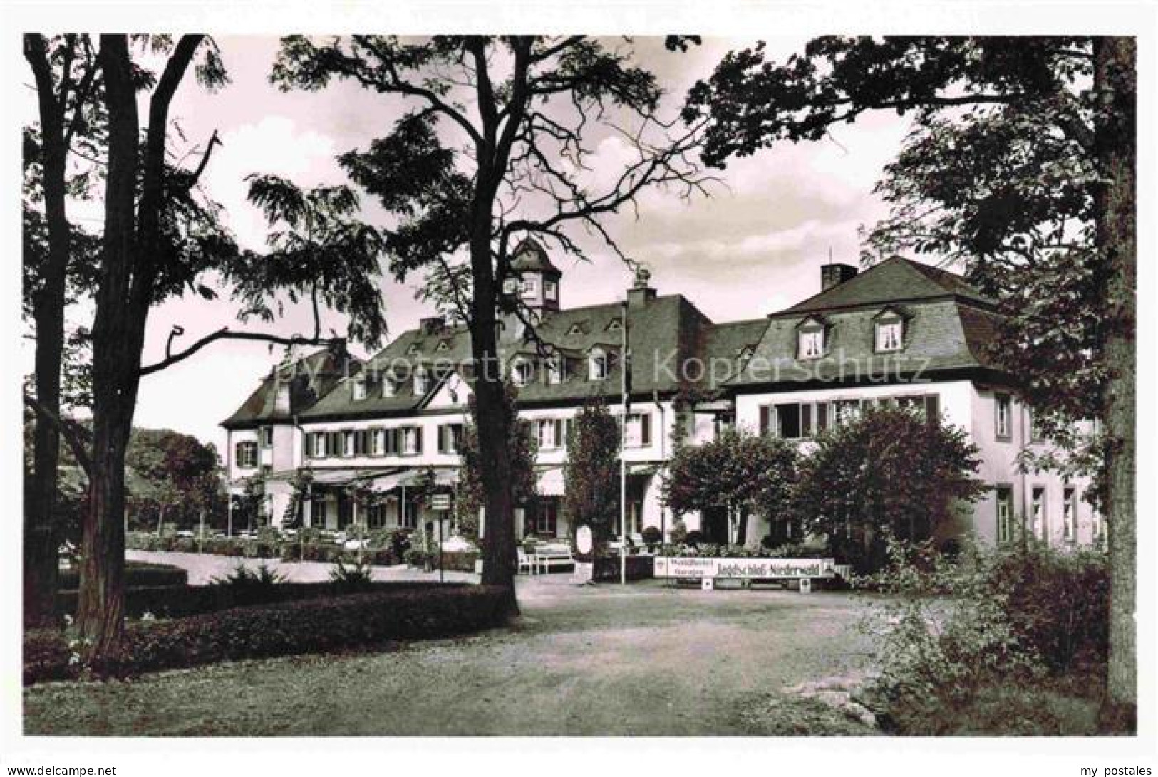Niederwald Ruedesheim Hessen Waldhotel Jagdschloss Niederwald