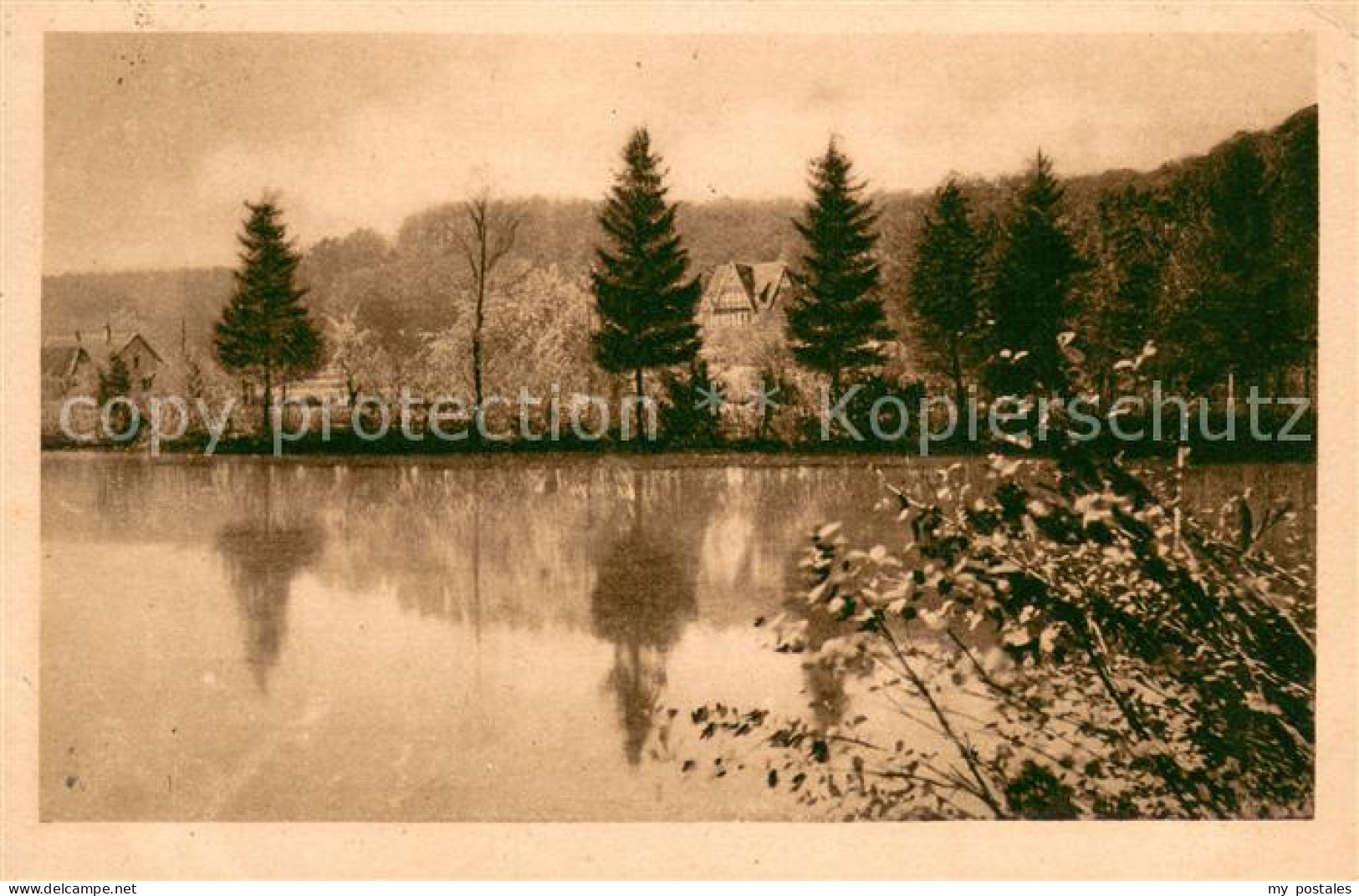 Nienburg Weser Oyler Beerg Pension und Waldwirtschaft