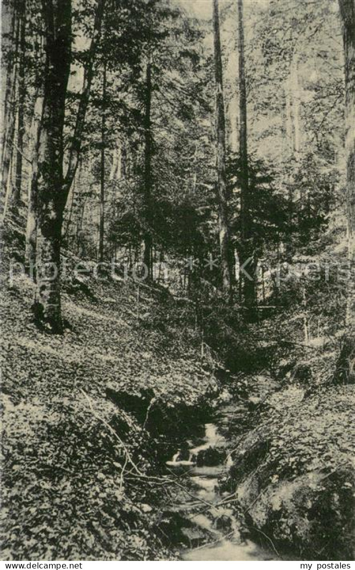 Nienburg Weser Oyler Berg Kleines Baechlein