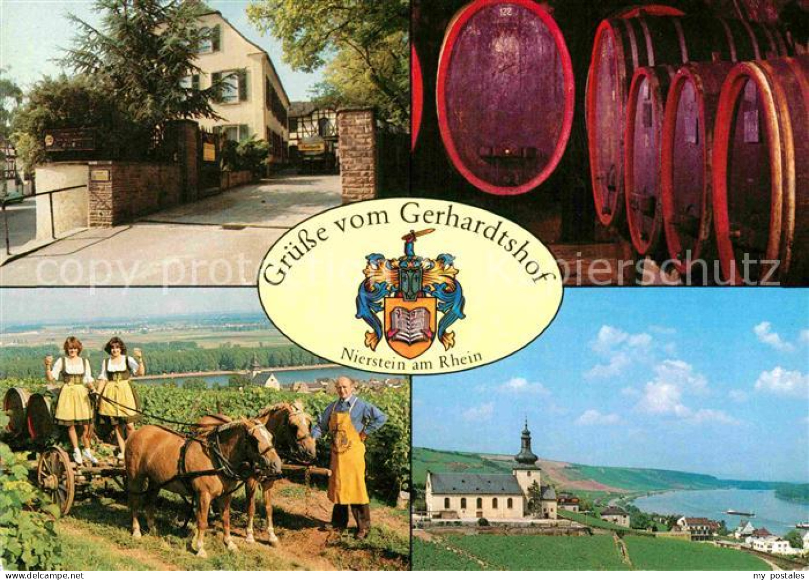 Nierstein Rhein Gerhardtshof