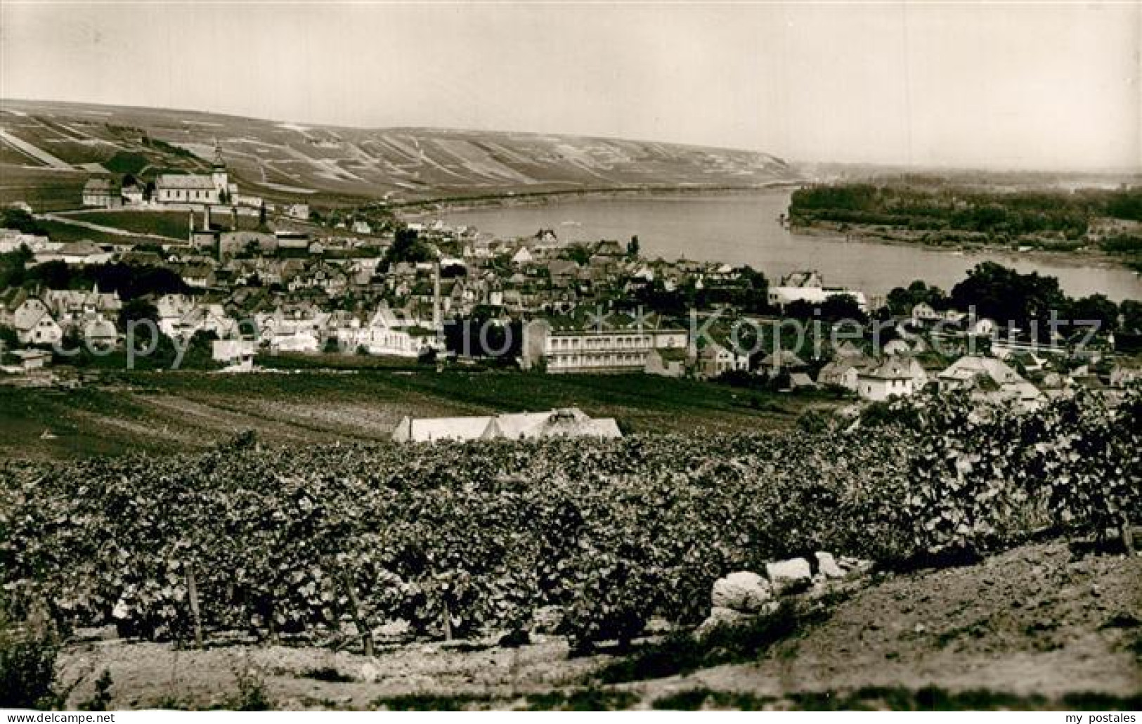 Nierstein Rhein Panorama
