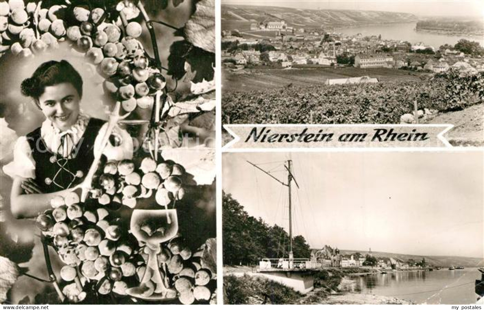 Nierstein Rhein Weingebiet Rhein