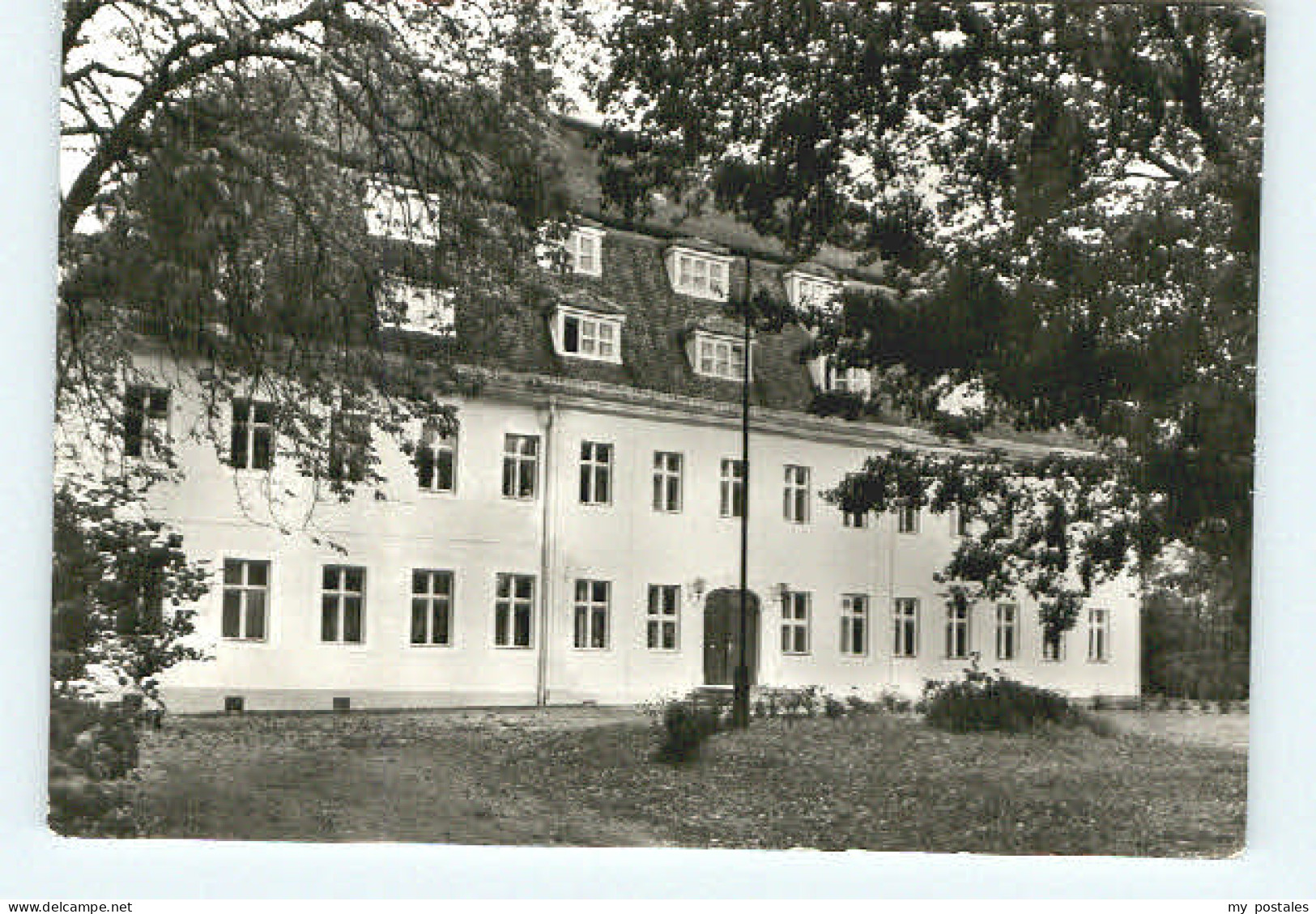 Niesky