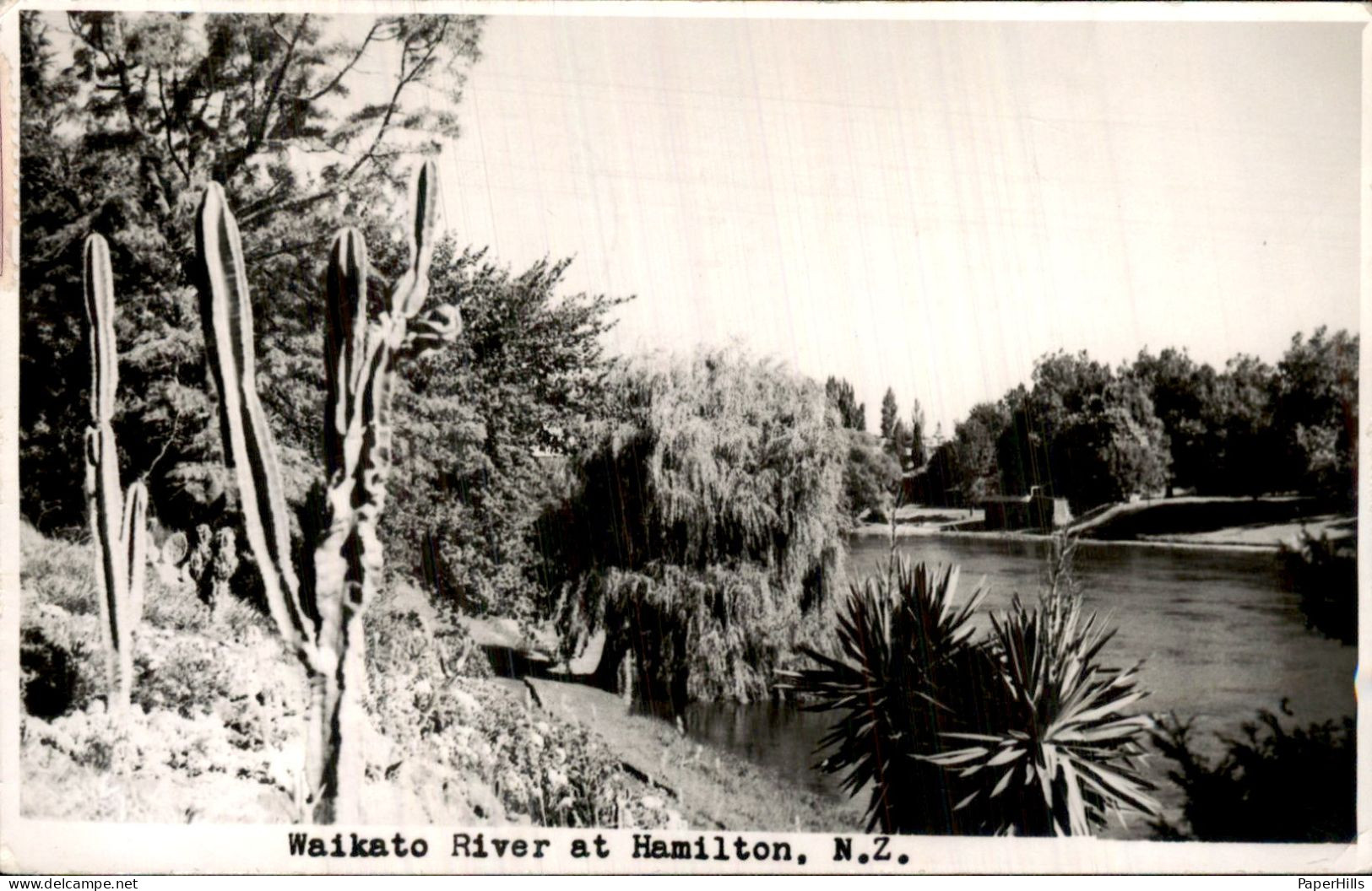 Nieuw Zeeland New Zealand - Hamilton