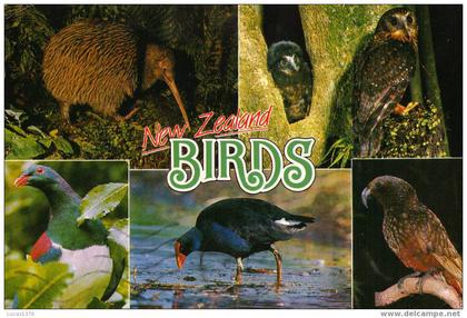 NEW ZEALAND / BIRDS