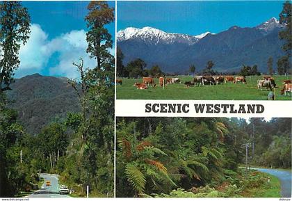 Nouvelle Zélande - New Zealand - Scenic Westland - Multivues - CPM - Voir Scans Recto-Verso