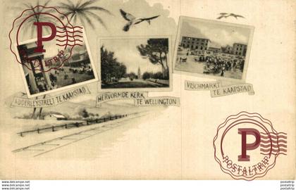 NUEVA ZELANDA // NEW ZEALAND.