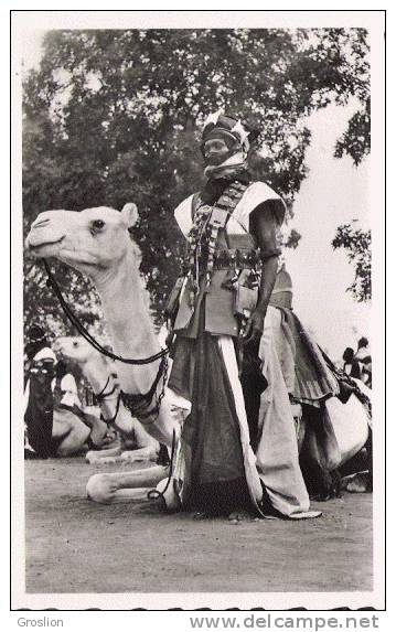 NIGER 14 PARTISAN MEHARISTE (HOMME BEAU PLAN)