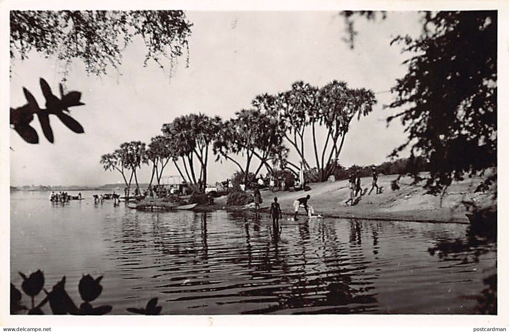 Niger - NIAMEY - Les bords du Niger - Ed. J.-L. Fontanon 15
