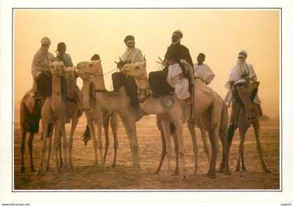 CPM Teguidda N Tessoumt Niger