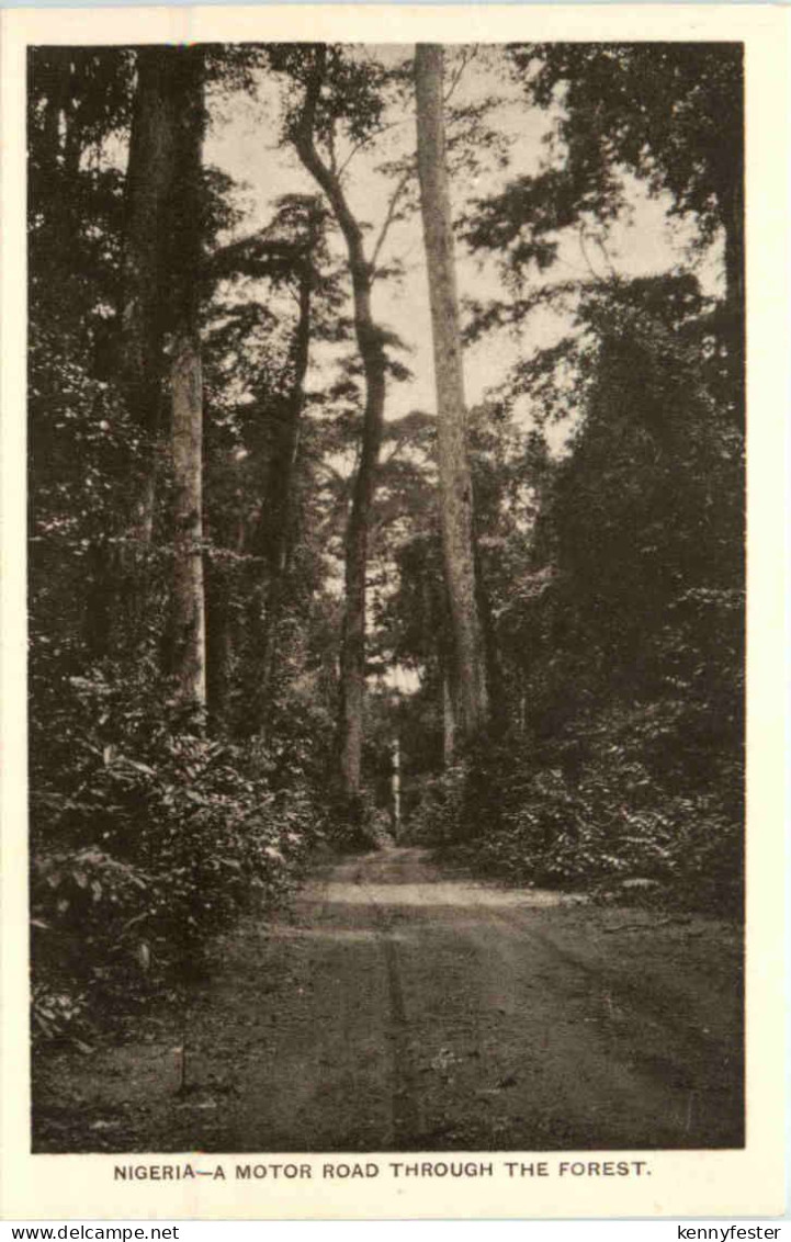 Nigeria - A Motor Road through the Forest