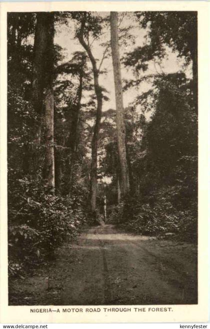 Nigeria - A Motor Road through the Forest
