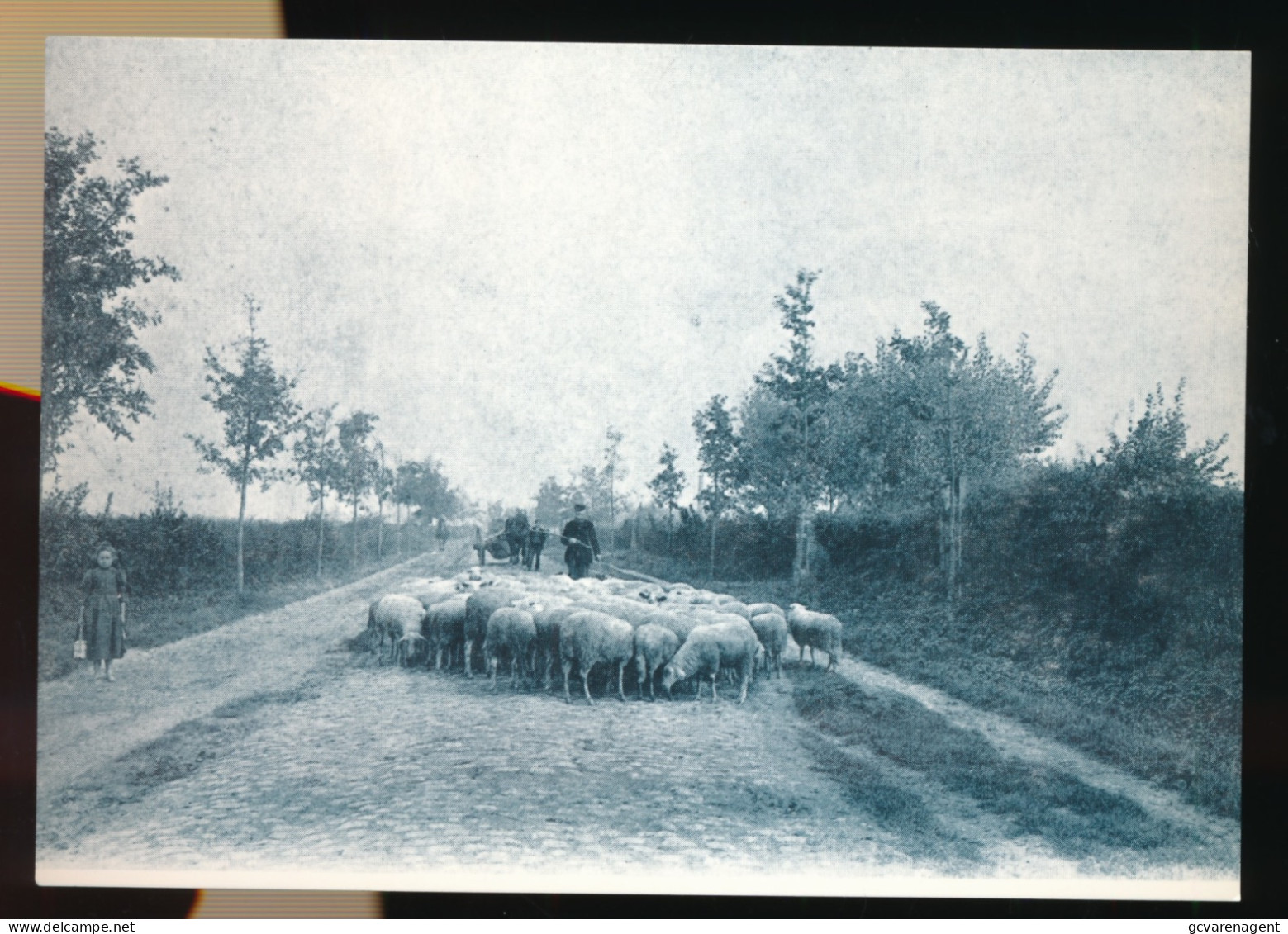 NINOVE    AALSTERSESTEENWEG   + -  1900=  UITGAVE DOCUMENTATIECENTRUM DE MONT - NINOVE