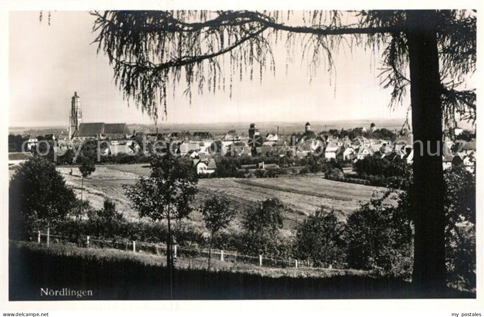 Noerdlingen Panorama