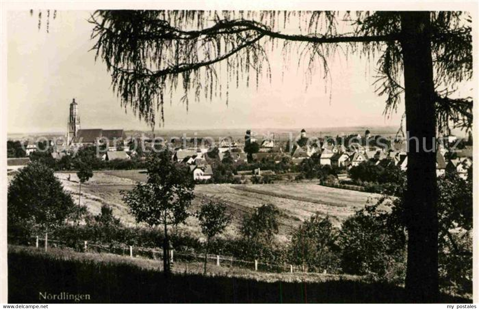 Noerdlingen Panorama