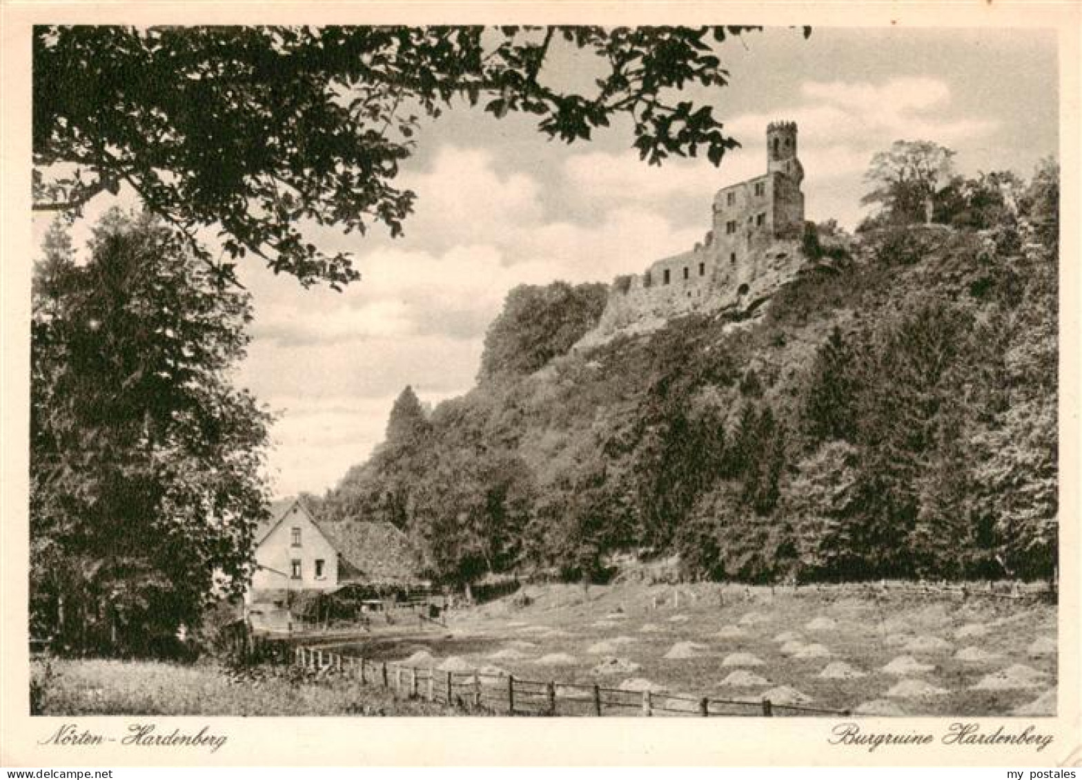 Noerten-Hardenberg Burgruine Hardenberg