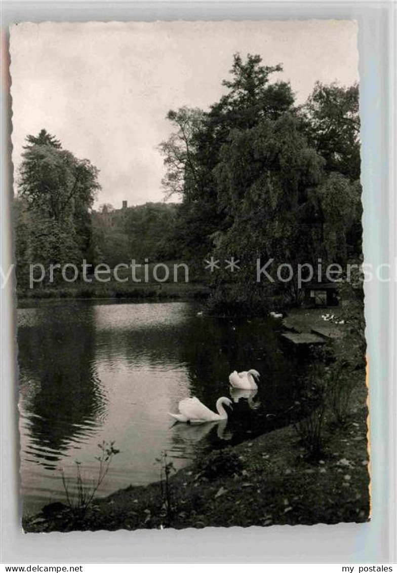 Noerten-Hardenberg Schlossteich Ruine