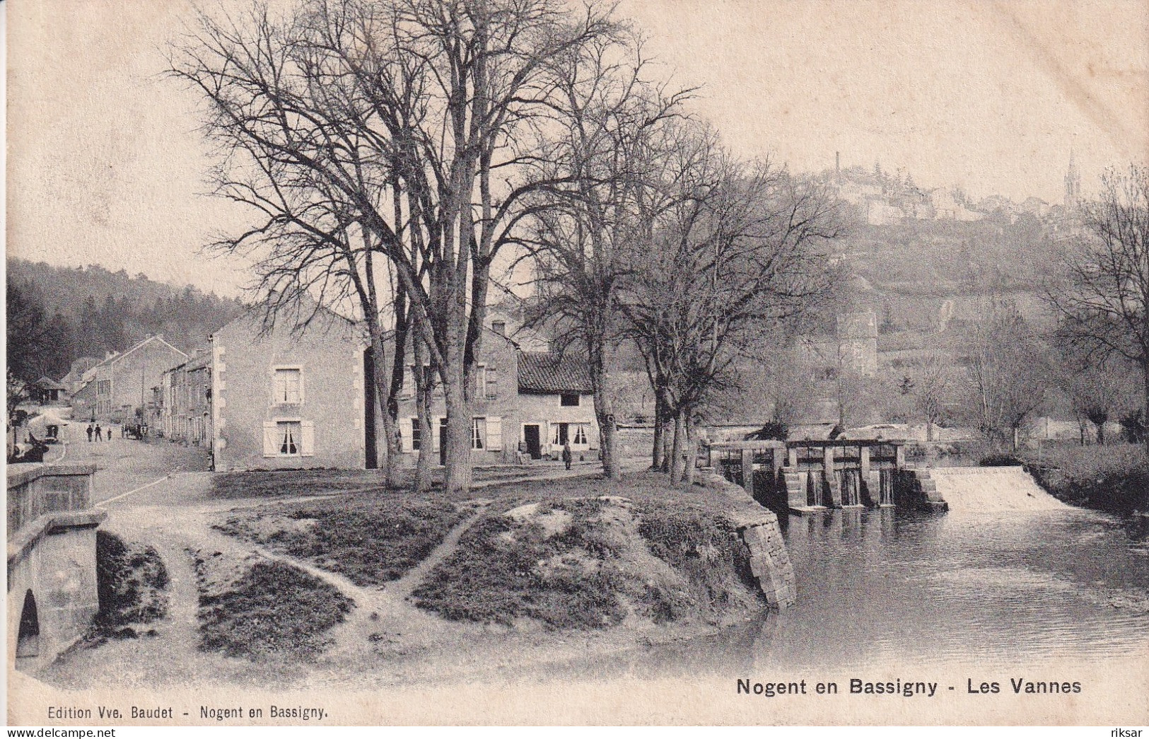 NOGENT EN BASSIGNY(ARBRE)