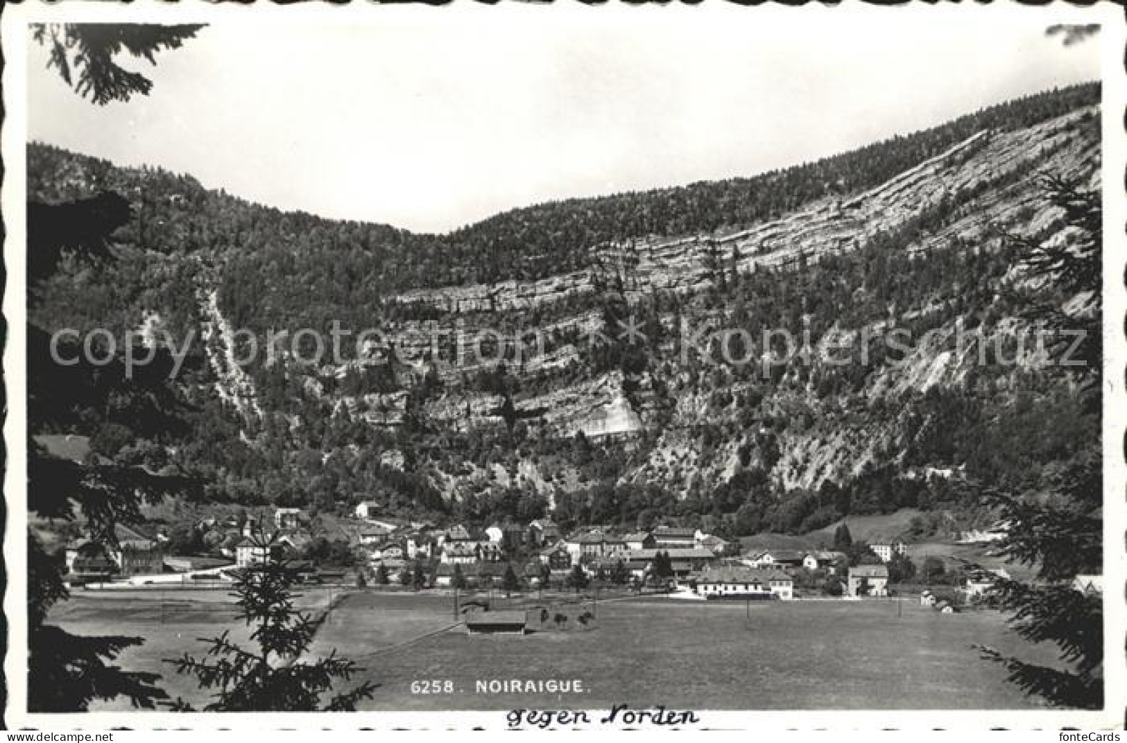 Noiraigue Panorama Felsen