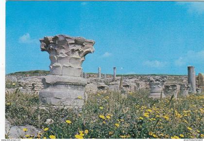 Tunesien, Carthage, Ruines Romaines ngl #F4489