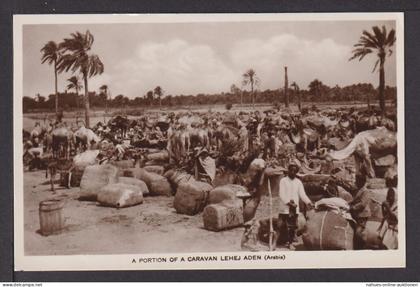 Ansichtskarte A Portion of a Caravan Lehej Aden Arabia Jemen