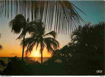 Carte Postale - Afrique - Afrique en Couleurs - Coucher de soleil - CPM - Voir Scans Recto-Verso - Poscard - Carta Posta