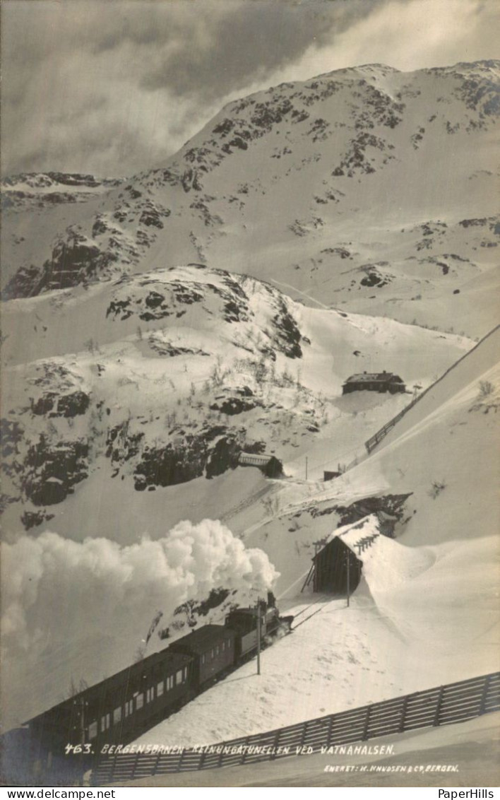 Noorwegen Norway - Bergensbanen