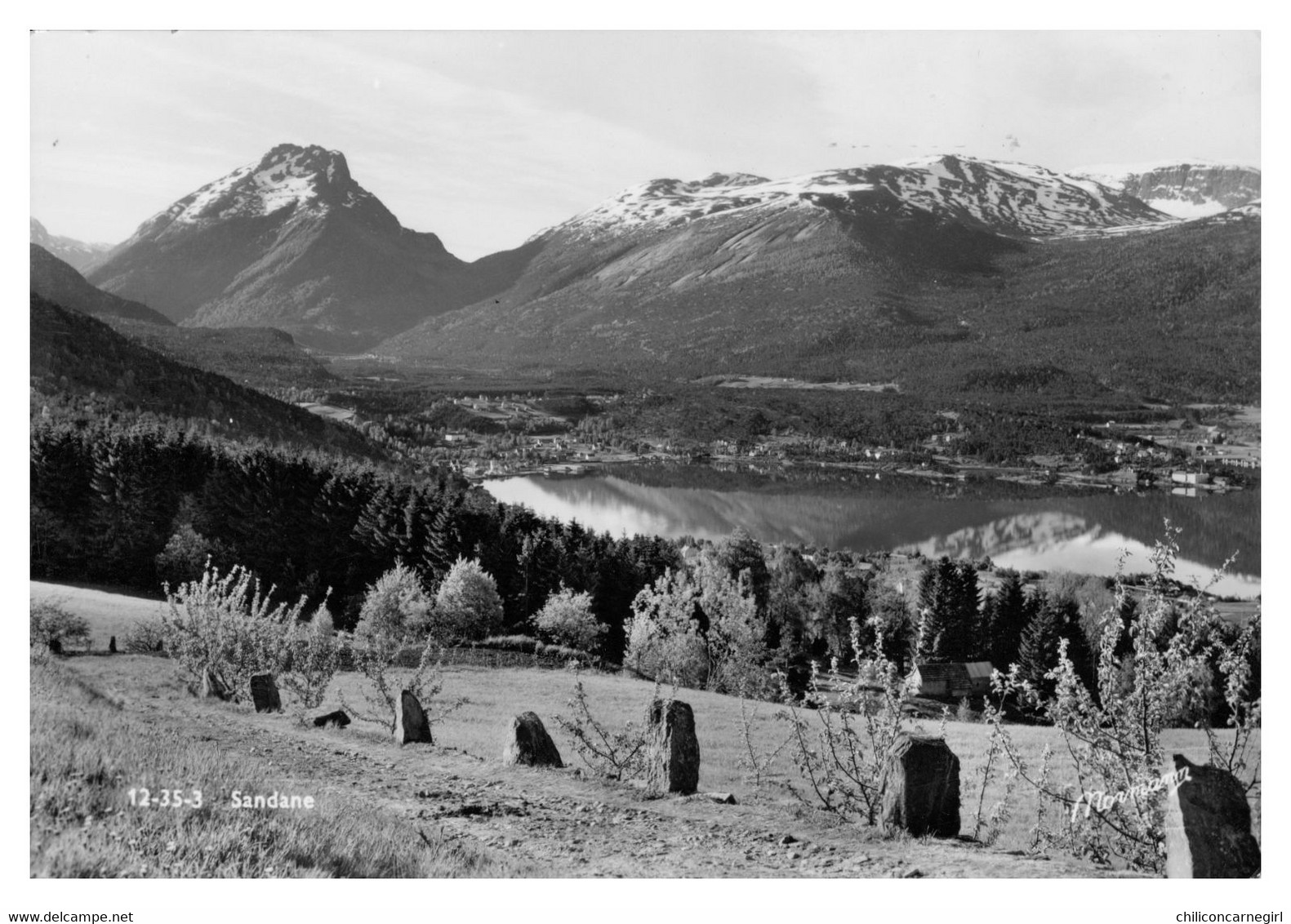 Noorwegen - Norway - Norge - Nordfjord - SANDANE - Edit. NORMANNS