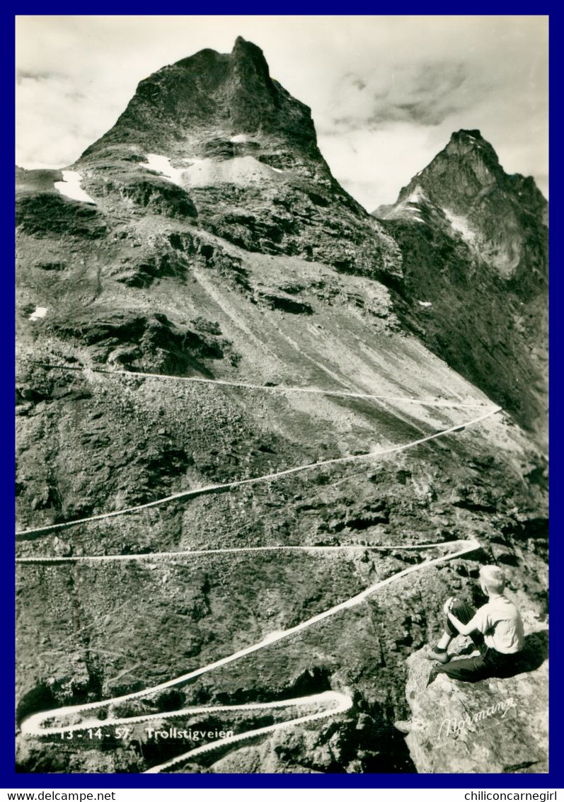 Noorwegen - Norway - Norge - Nordfjord - Trollstigveien - Trollstigvegen - Animée - Edit. NORMANNS