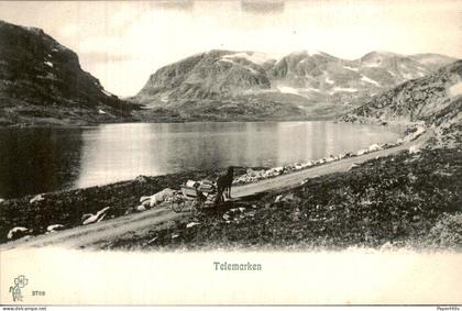 Noorwegen Norway - Telemarken