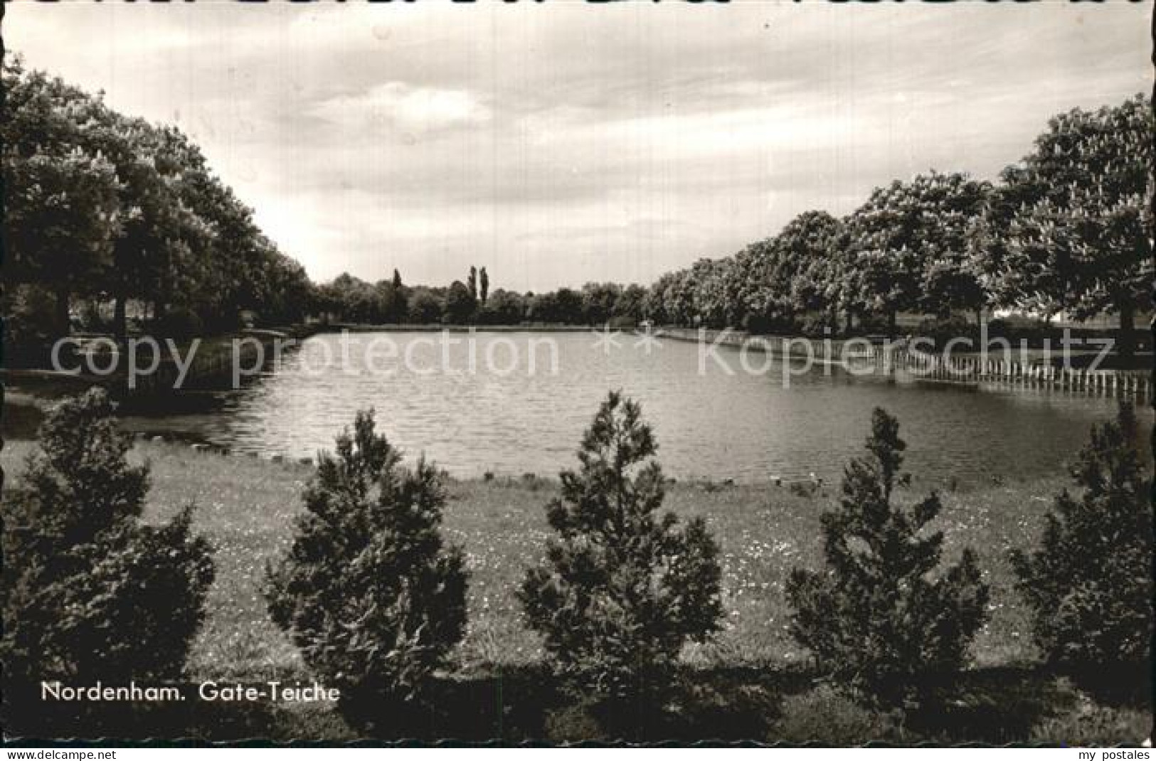 Nordenham Wesermarsch Niedersachsen Gate-Teiche