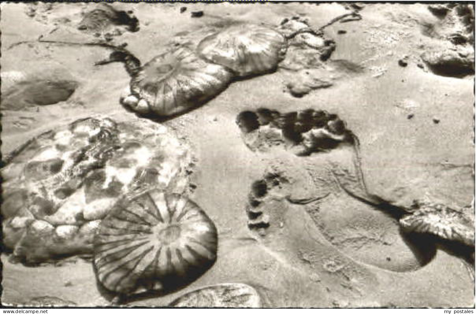 Norderney Nordseebad Norderney  o 2002