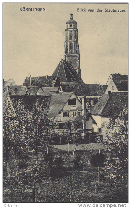 Nördlingen, Blick von der Stadtmauer zur Kirche, um 1918