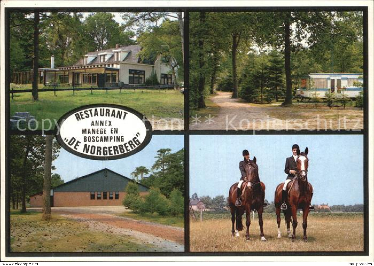 Norg Cafe Restaurant Manege Camping De Norgerberg