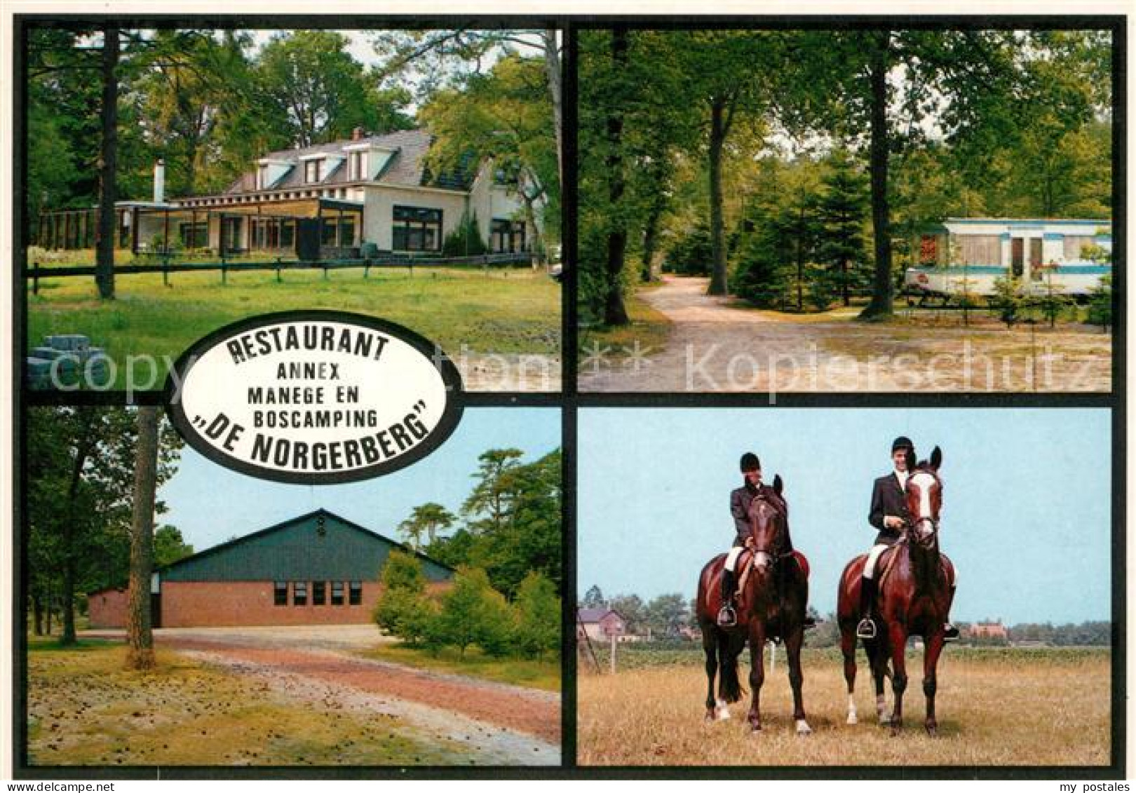 Norg Cafe Restaurant Manege Camping De Norgerberg Campingplatz Reiten