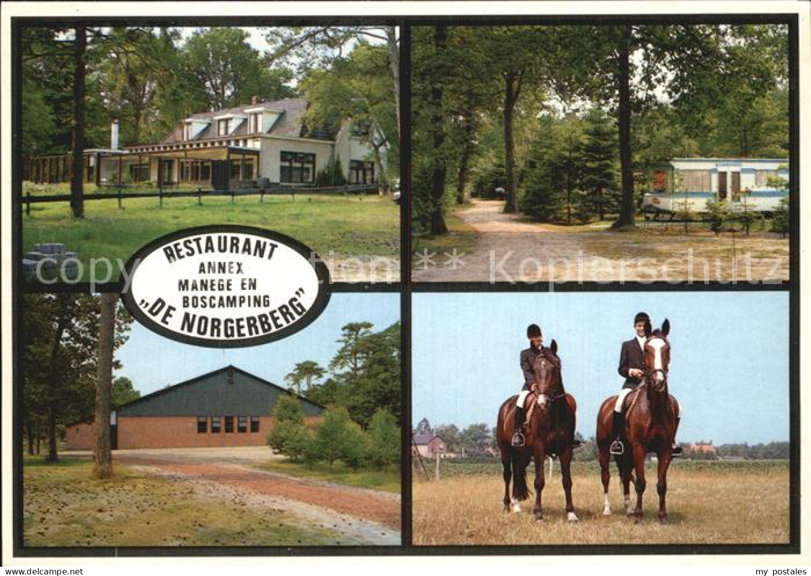 Norg Cafe Restaurant Manege Camping De Norgerberg Reiten