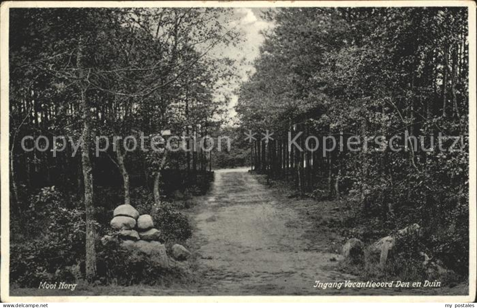 Norg Ingang Vacantieoord Den en Duin