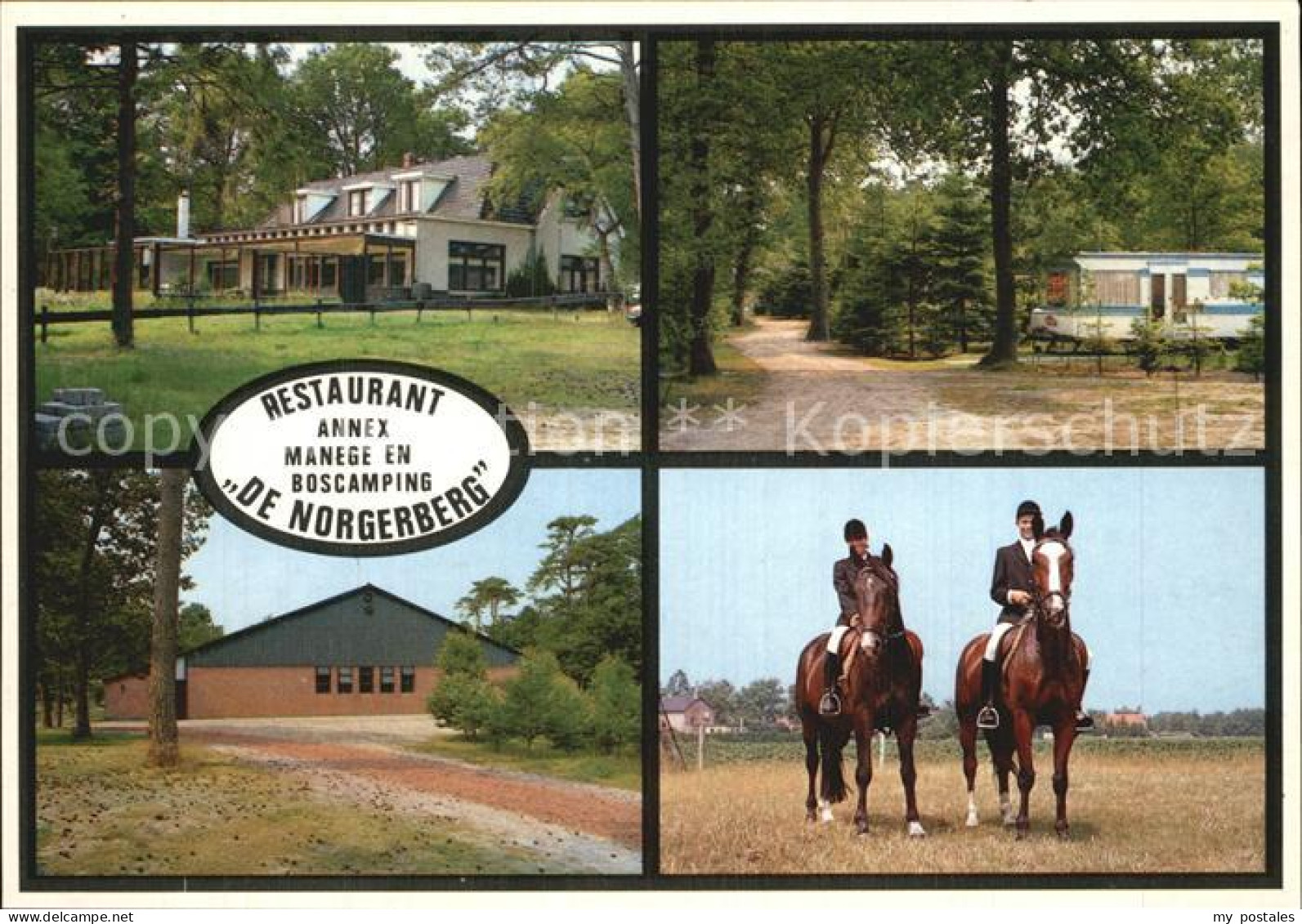 Norg Restaurant De Norgerberg Camping Nota Reitsport Pferde