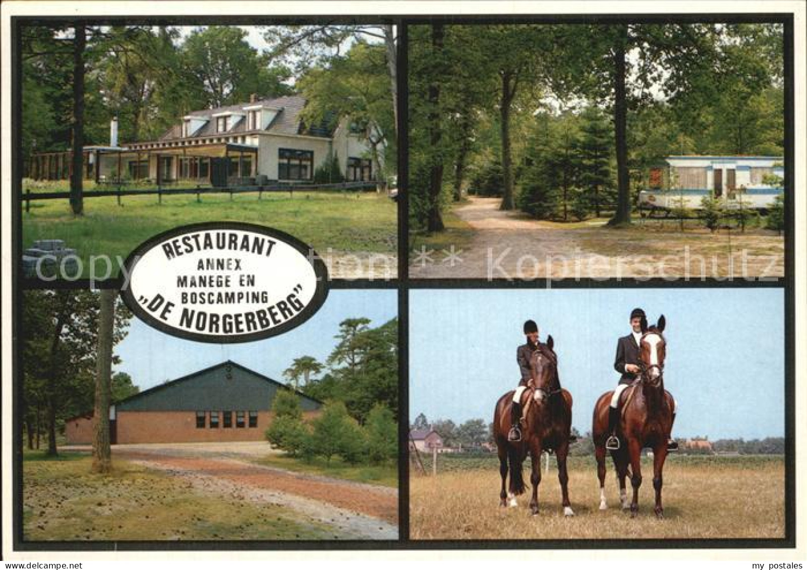 Norg Restaurant De Norgerberg Reiter