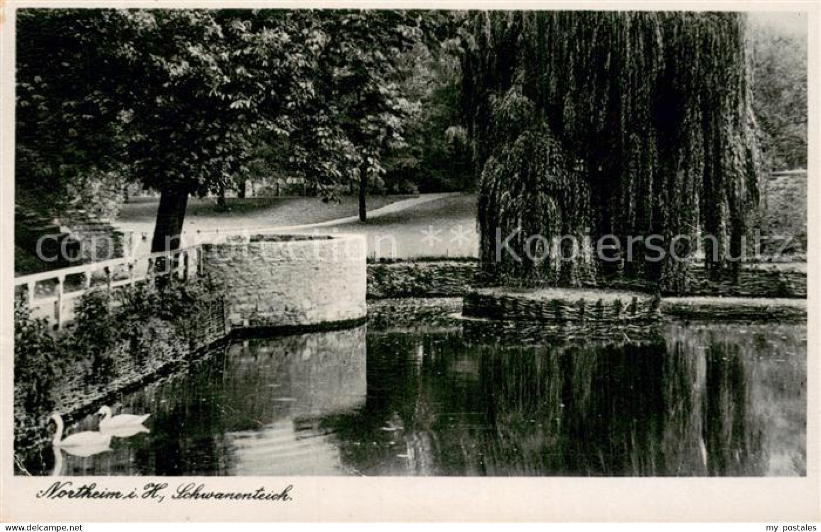 Northeim Schwanenteich