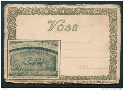 70012 / VOSS -  10 pc Norway Norwegen Norvegia Norvège Noorwegen postcard