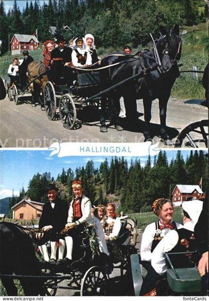 Hallingdal Brudefolge Wedding procession